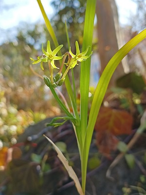 f:id:mitioyoneko:20220305205014j:plain