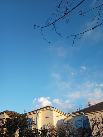 f:id:mitioyoneko:20220306212941j:plain