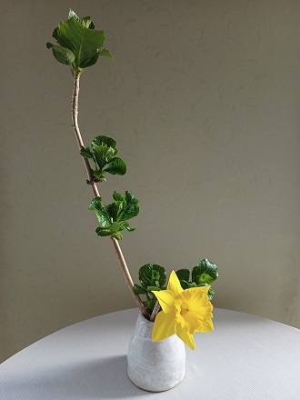 f:id:mitioyoneko:20220321215026j:plain