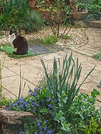 f:id:mitioyoneko:20220330160630j:plain