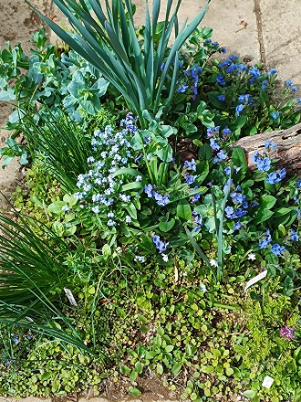 f:id:mitioyoneko:20220330160632j:plain