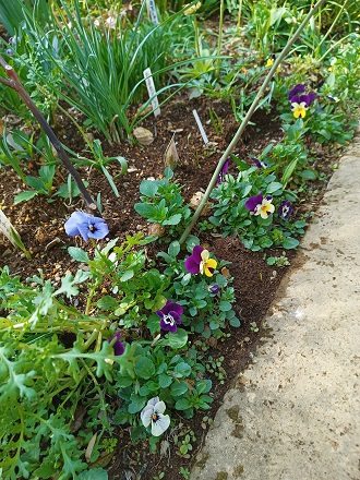 f:id:mitioyoneko:20220330160654j:plain