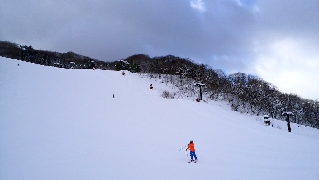 f:id:mito_jr_ski:20190129223627j:plain