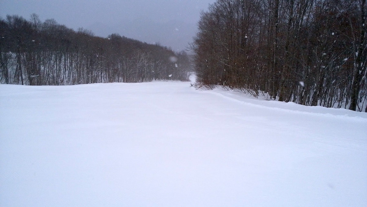 f:id:mito_jr_ski:20190313194630j:plain f:id:mito_jr_ski:20190313194630j:plain