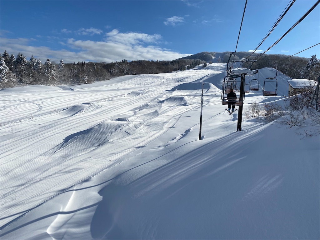 f:id:mito_jr_ski:20220106215239j:image