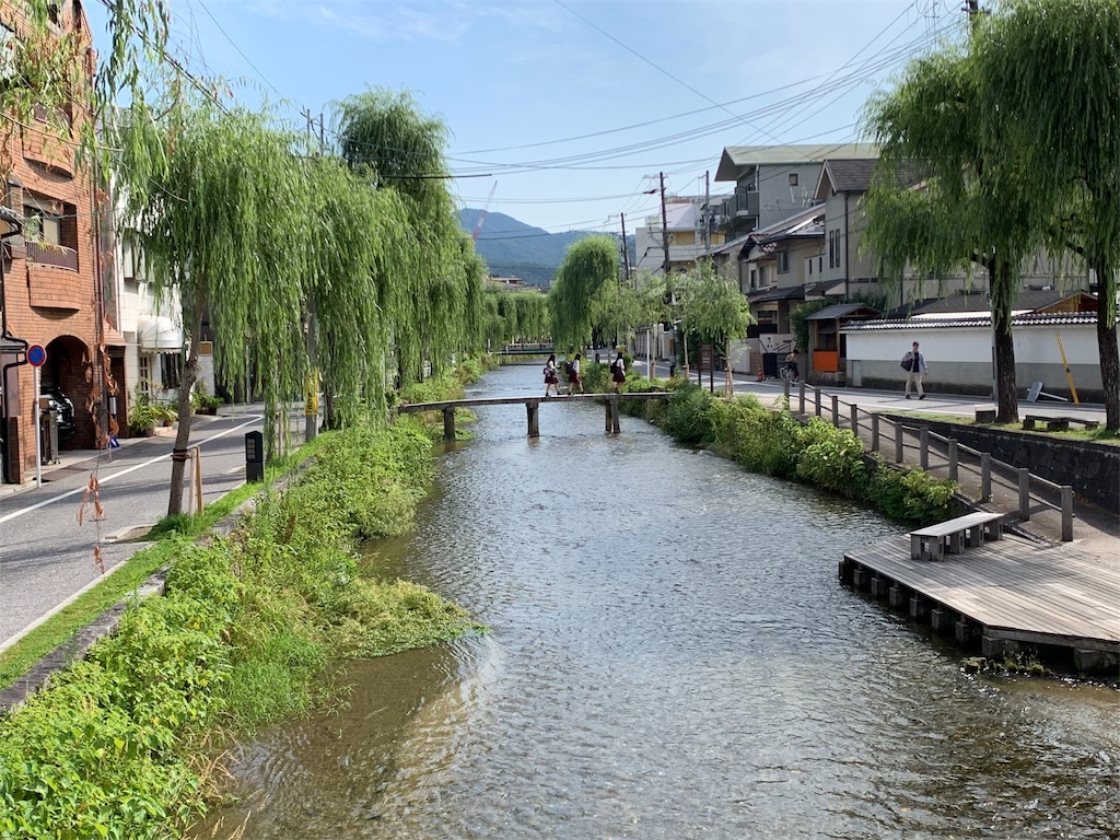 f:id:mitochans:20190619201544j:image