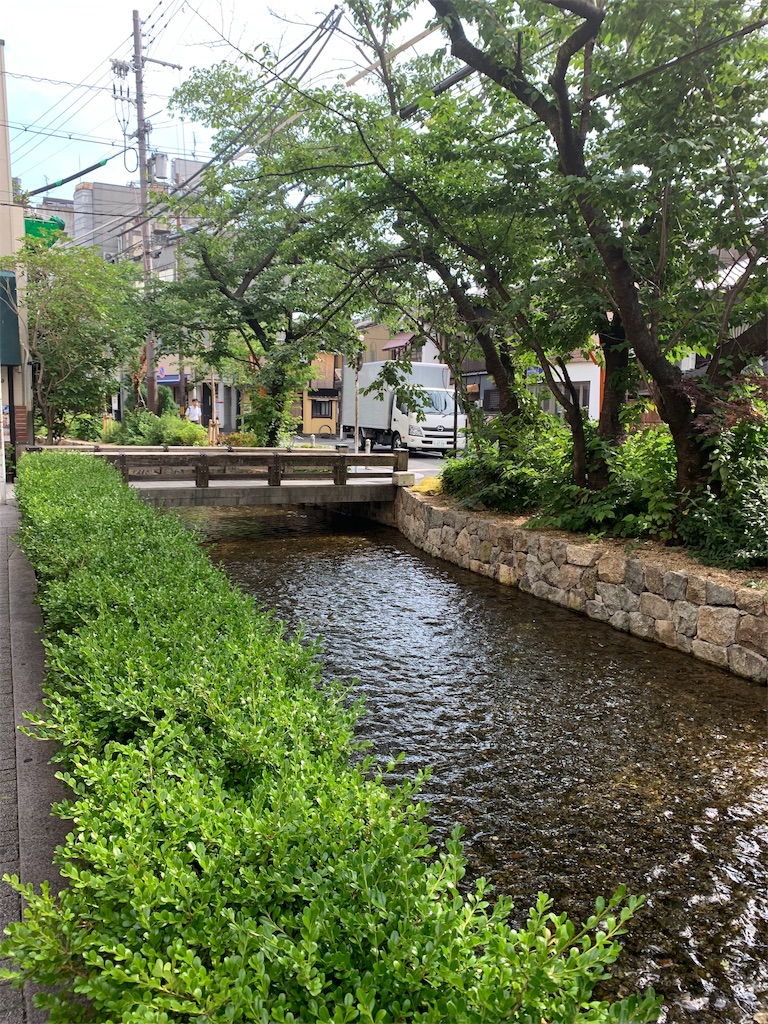 f:id:mitochans:20190619201633j:image