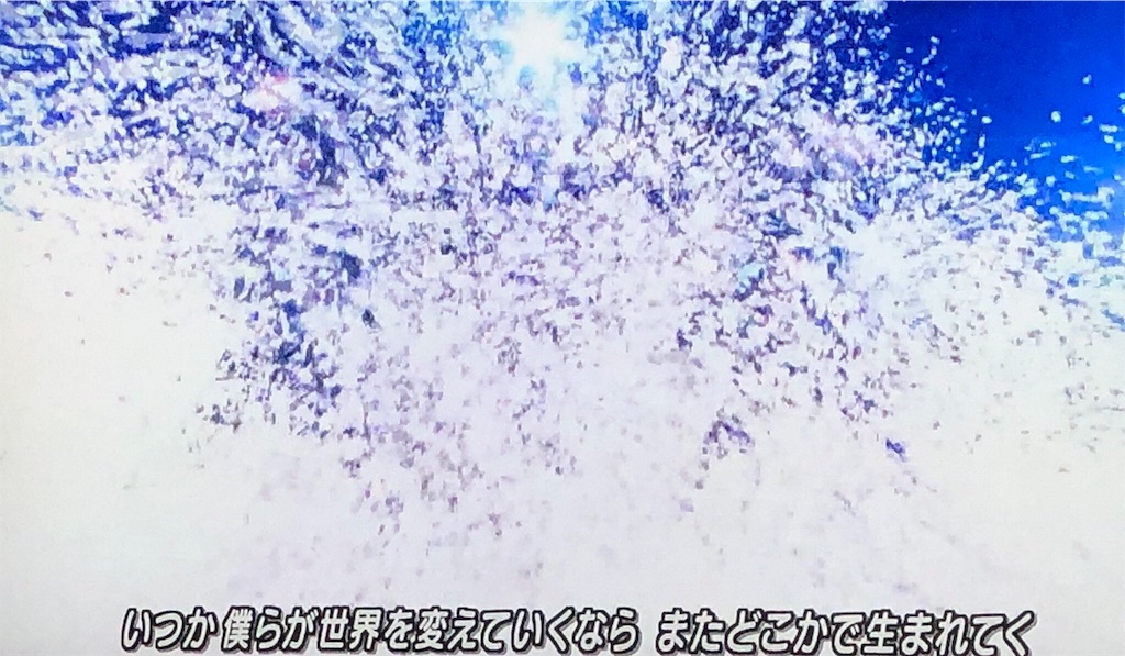 f:id:mitochondria3:20190706155833j:image