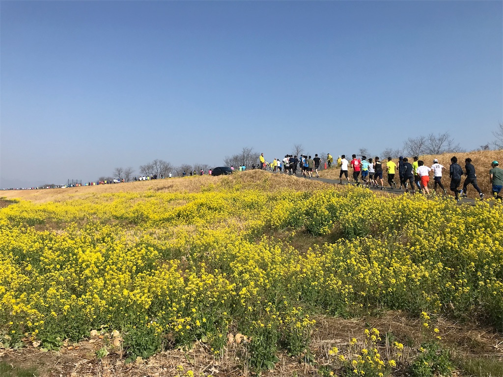 f:id:mitoigawa:20180327213216j:image f:id:mitoigawa:20180327213216j:image
