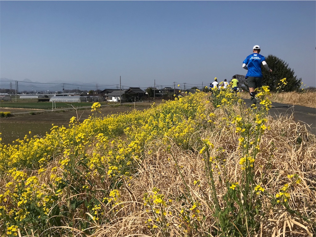 f:id:mitoigawa:20180327213233j:image f:id:mitoigawa:20180327213233j:image