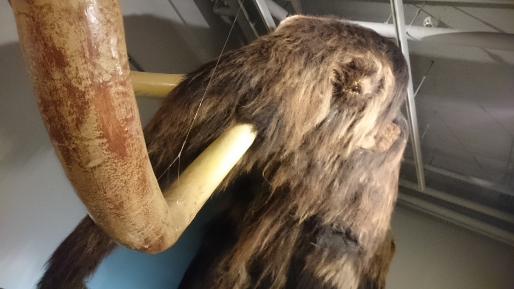 f:id:mitoitoco:20180331104809j:plain