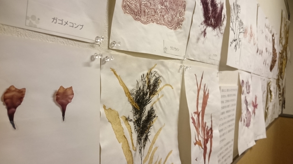 f:id:mitoitoco:20180331104912j:plain