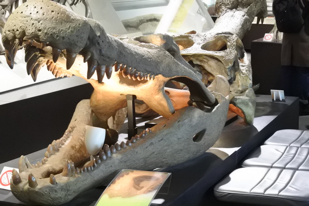 f:id:mitoitoco:20180331105827j:plain