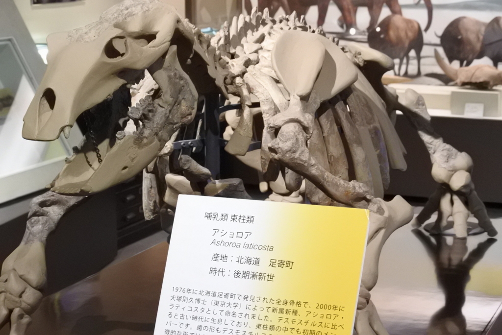 f:id:mitoitoco:20180331105852j:plain