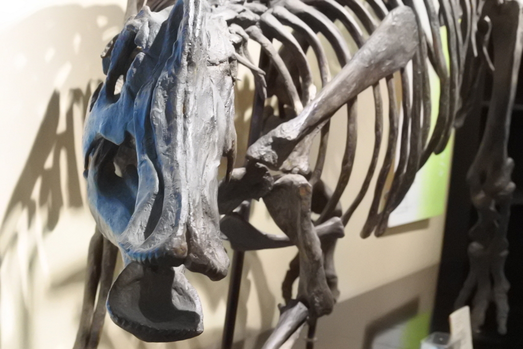 f:id:mitoitoco:20180331105909j:plain