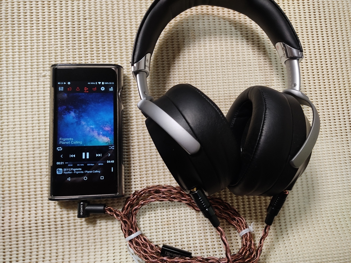 f:id:mitoka_mochimono:20210307172146j:plain