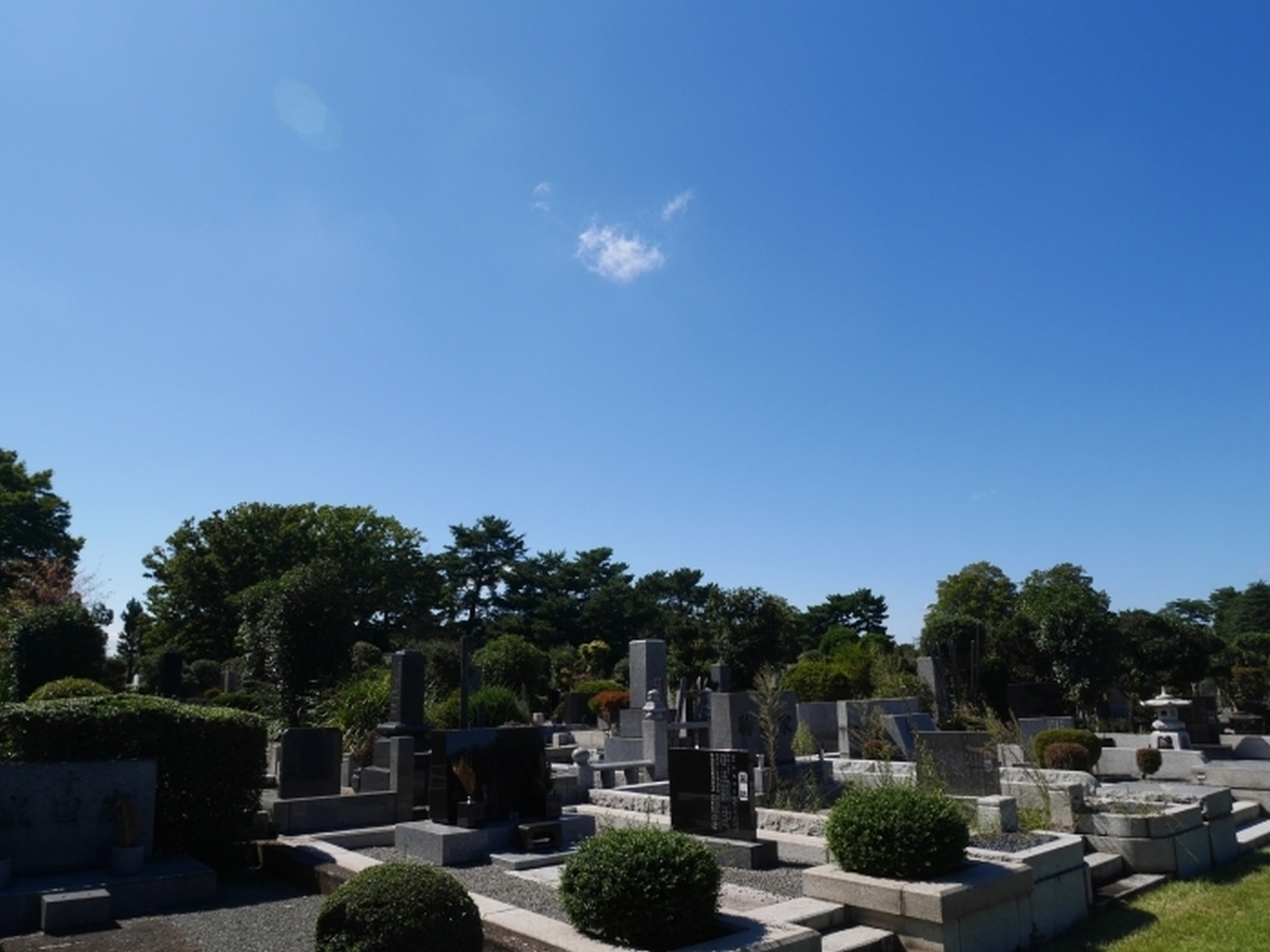 f:id:mitokioquerido:20190908114449j:plain f:id:mitokioquerido:20190908114449j:plain