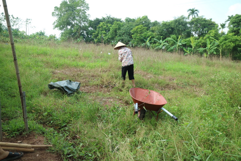 f:id:mitolab:20161220015025j:plain