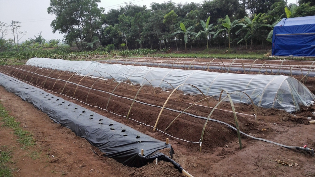 f:id:mitolab:20161220015106j:plain