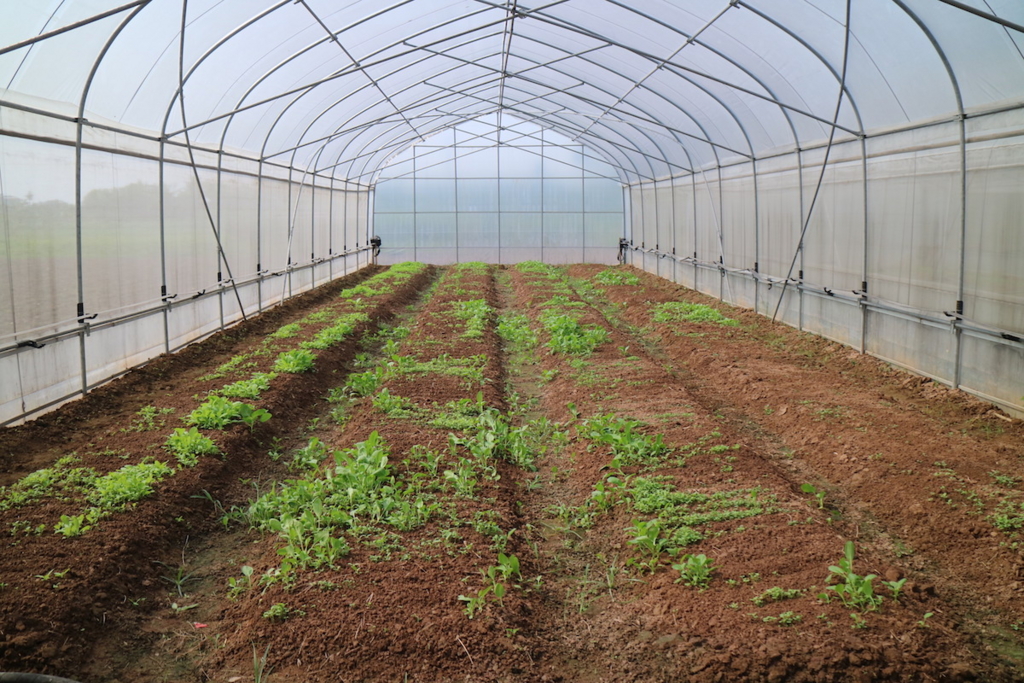 f:id:mitolab:20161220015357j:plain