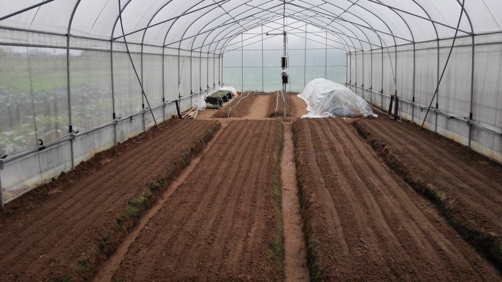 f:id:mitolab:20161220015430j:plain