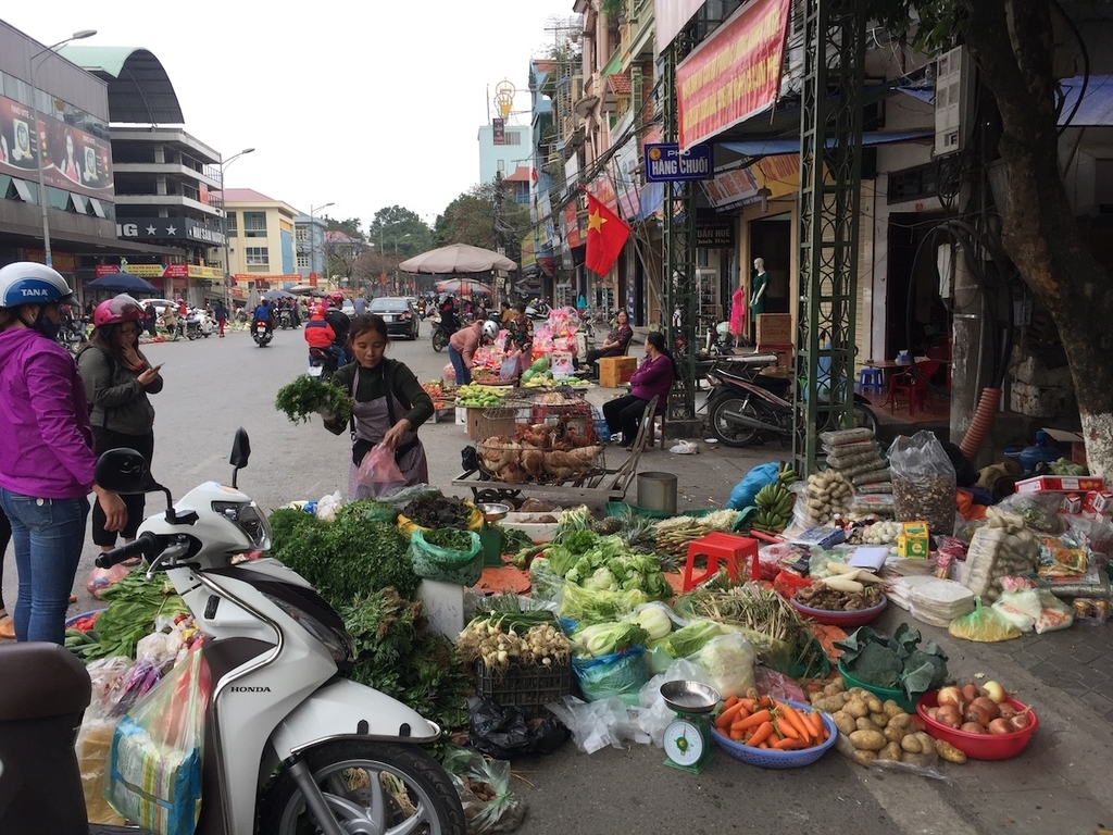 f:id:mitolab:20181219004449j:plain