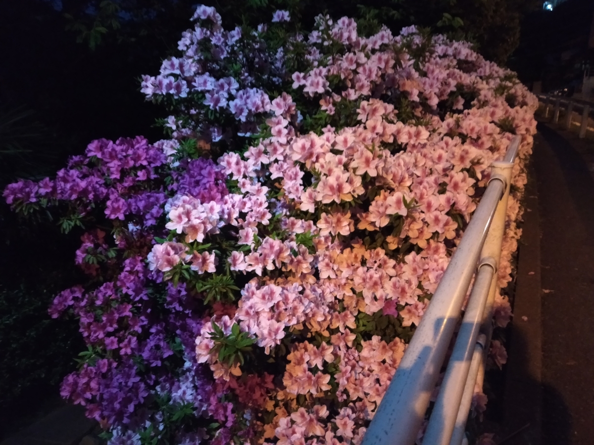 f:id:mitomito777:20190430093110j:plain f:id:mitomito777:20190430093110j:plain