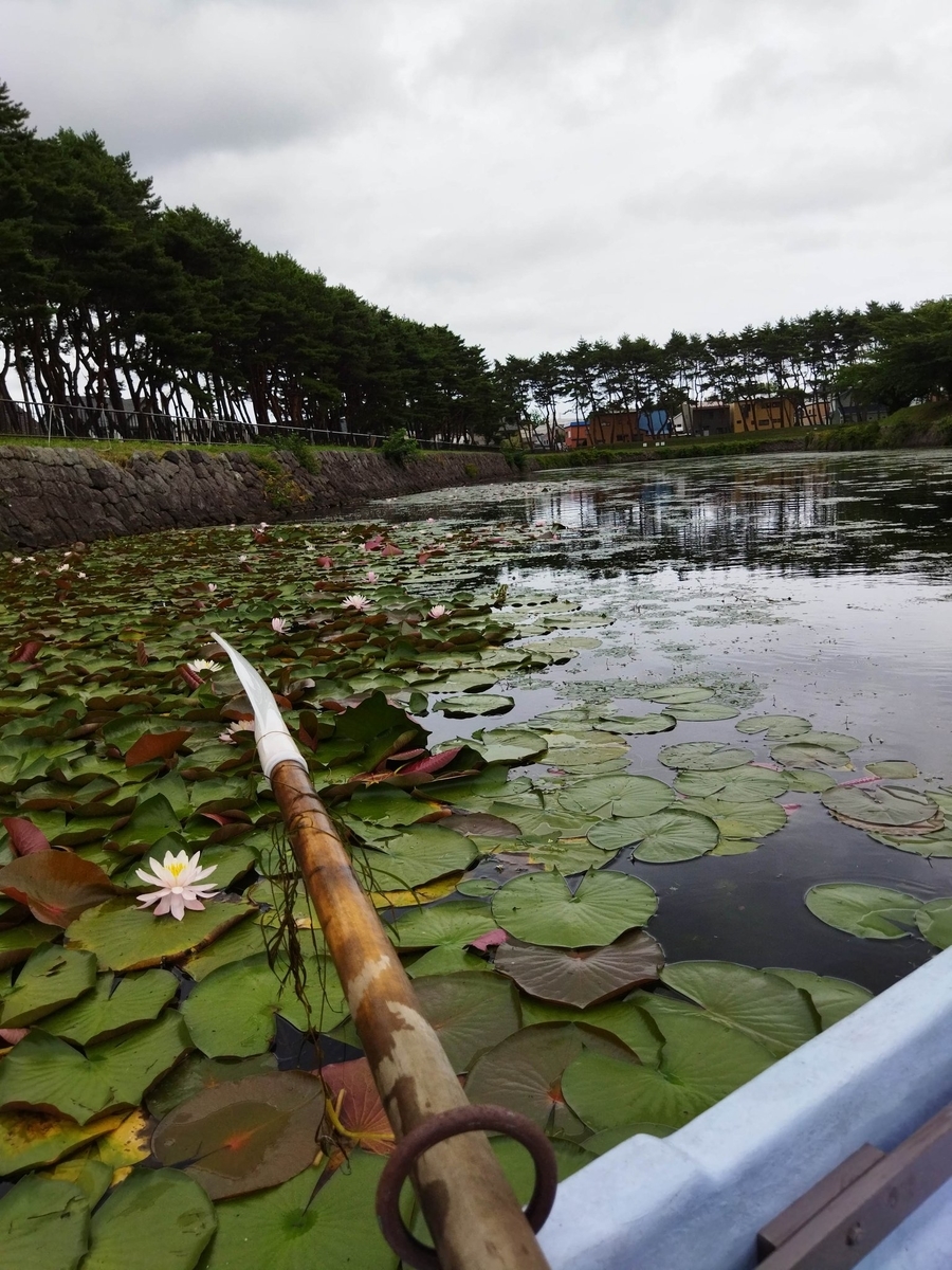 f:id:mitomito777:20210814163251j:plain