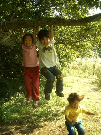 f:id:mitopema:20051027110912j:image f:id:mitopema:20051027110912j:image