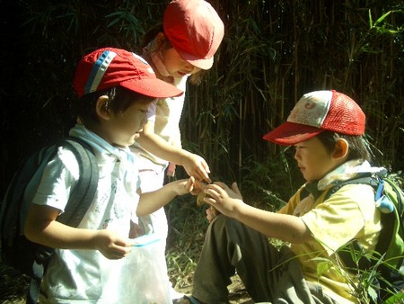 f:id:mitopema:20051103105512j:image f:id:mitopema:20051103105512j:image