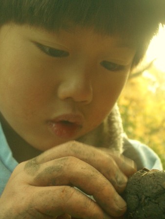 f:id:mitopema:20051130134521j:image f:id:mitopema:20051130134521j:image