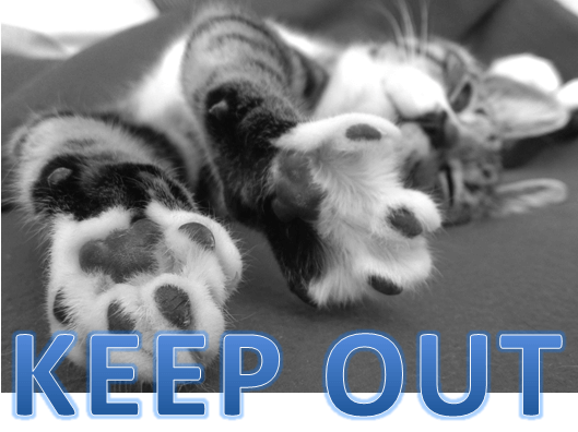 f:id:mitove2:20190409051504p:plain f:id:mitove2:20190409051504p:plain