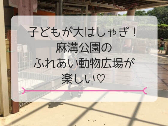 神奈川県相模原市にある麻溝公園のふれあい動物広場