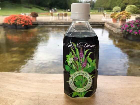 神奈川県相模原市にある相模原公園の植物園カフェのハーブティ