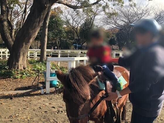 神奈川県相模原市にある麻溝公園でポニーにのる2歳の子ども