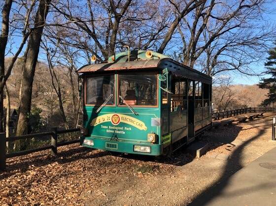 多摩動物公園にあるバス