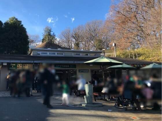 多摩動物公園内にあるコアラ下売店