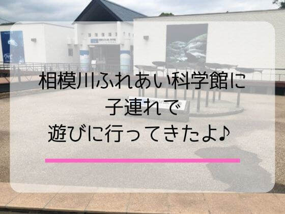相模川ふれあい科学館はちょうどいい広さの水族館 ランチや楽しみ方も イチゴのうさぎ