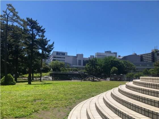 神奈川県相模原市にある相模大野中央公園の芝生