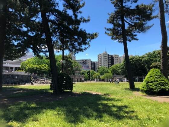 神奈川県相模原市にある相模大野中央公園の小川近くの木陰