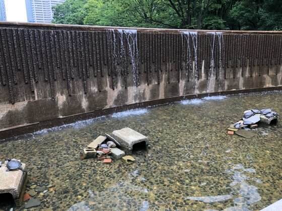 新宿中央公園にある新宿白糸の滝