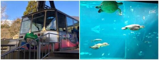 箱根園にある箱根園水族館と駒ヶ岳ロープウェイ