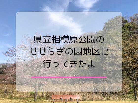 県立相模原公園の魅力を解説
