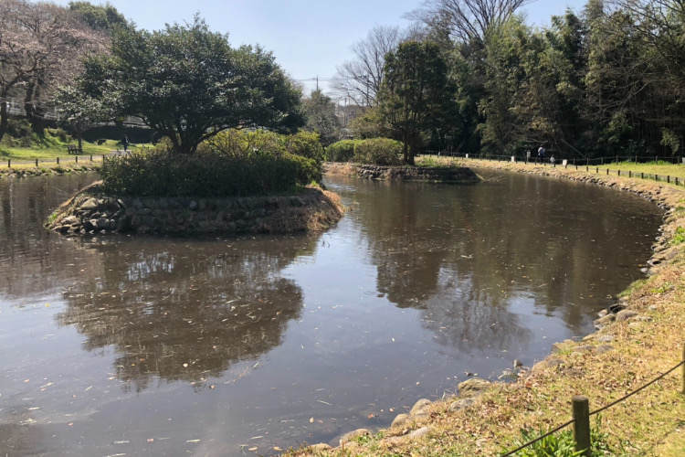 県立相模原公園のせせらぎの園の鯉がいる池