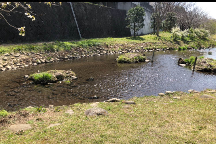 県立相模原公園のせせらぎの園で水遊びができるじゃぶじゃぶ池