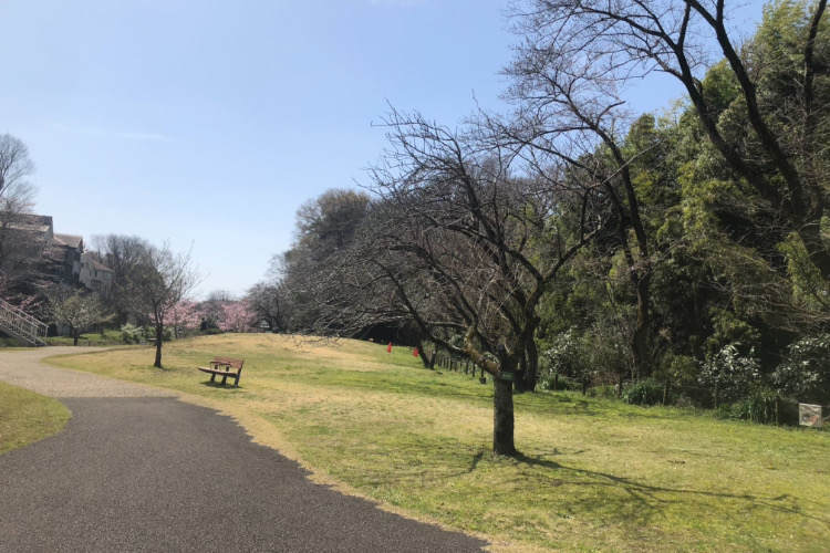 県立相模原公園のせせらぎの園のベンチ