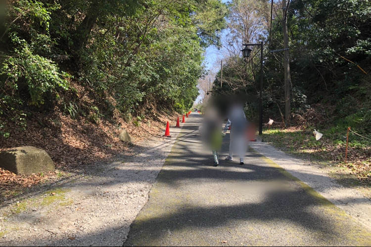 せせらぎの園から県立相模原公園までつながっているクヌギゲート