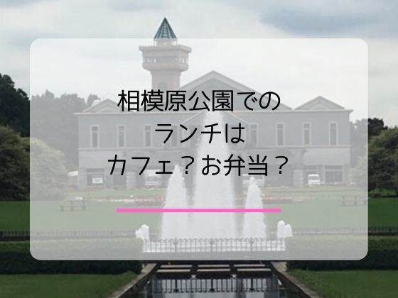 県立相模原公園でのランチはカフェ?お弁当?