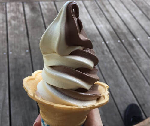 県立相模原公園にあるブロッサムズカフェのソフトクリーム