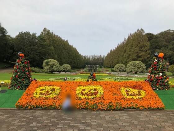 県立相模原公園の魅力を徹底解説 遊具はもちろんお得な駐車場情報も イチゴのうさぎ